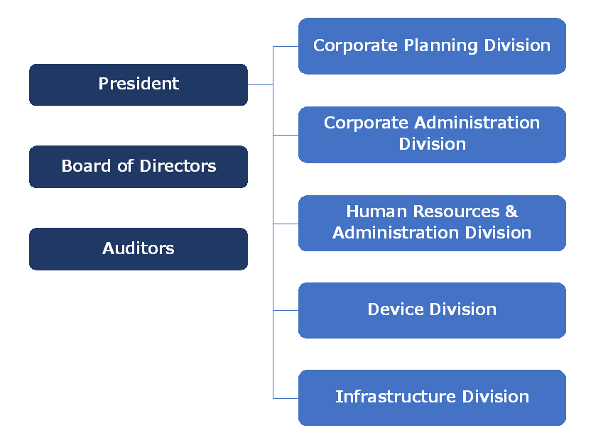 Management Structure